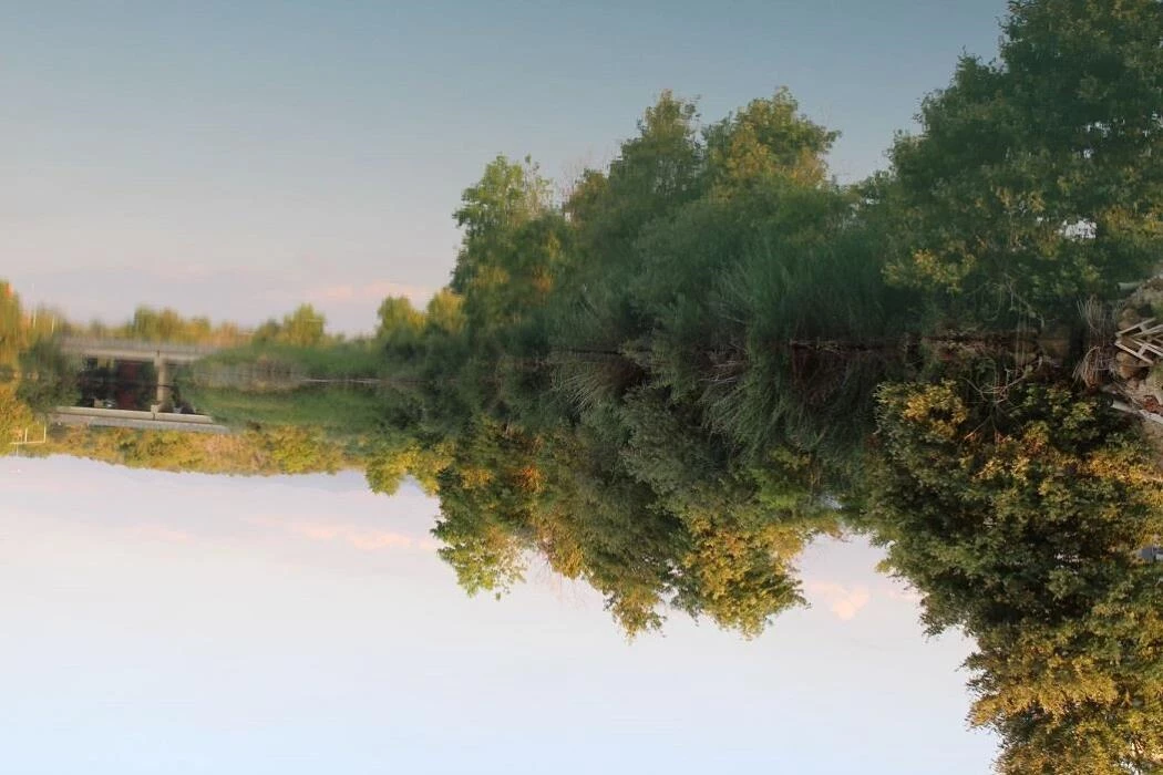 #altIMG Hotel# Alarcha Hotels & Resorts #altIMG in# Antalya, Türkiye - #altIMG Image# 7