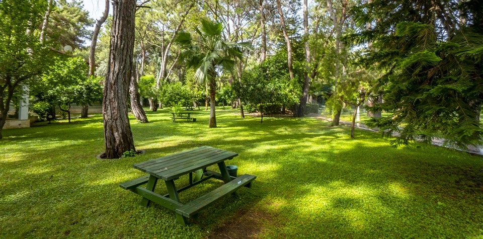 #altIMG Hotel# Armas Kaplan Paradise Hotel #altIMG in# Antalya, Türkiye - #altIMG Image# 22