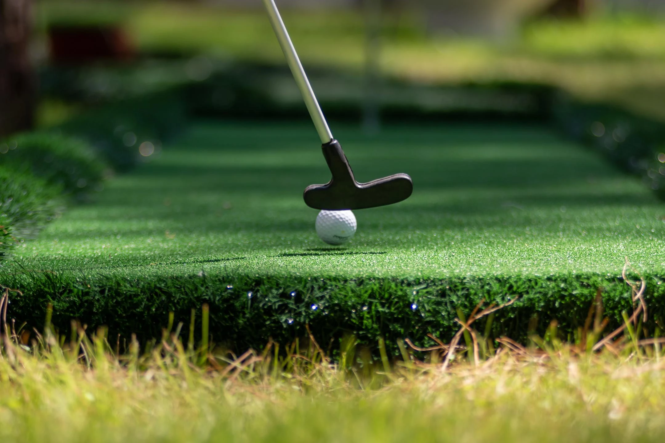 #altIMG Aktivite in Hotel# Baia Salima Kemer #altIMG in# Antalya, Türkiye - #altIMG Image# 5