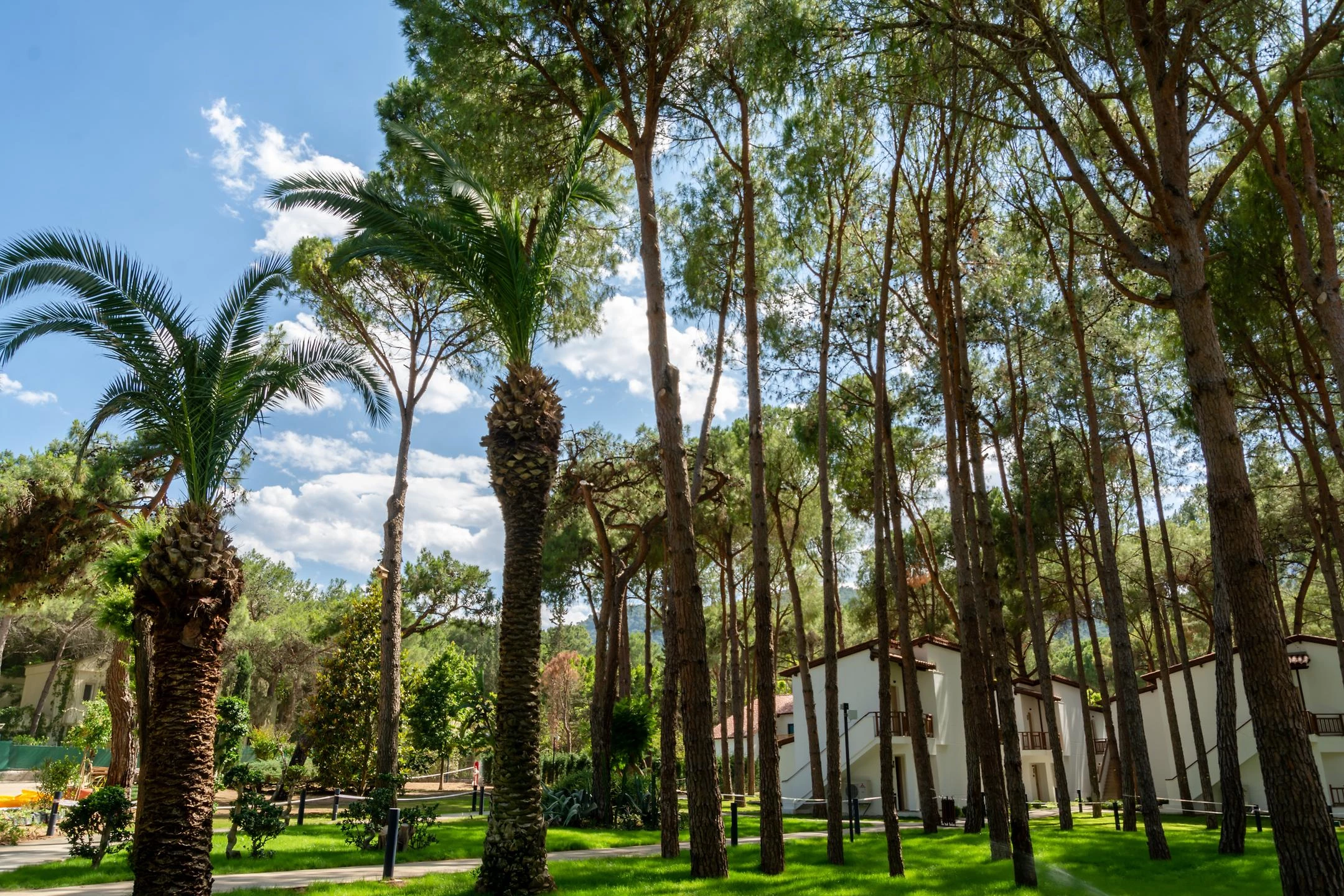 #altIMG Hotel# Baia Salima Kemer #altIMG in# Antalya, Türkiye - #altIMG Image# 3