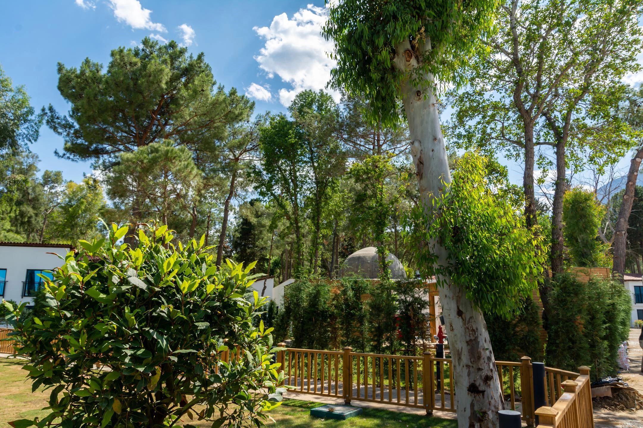 #altIMG Hotel# Baia Salima Kemer #altIMG in# Antalya, Türkiye - #altIMG Image# 7