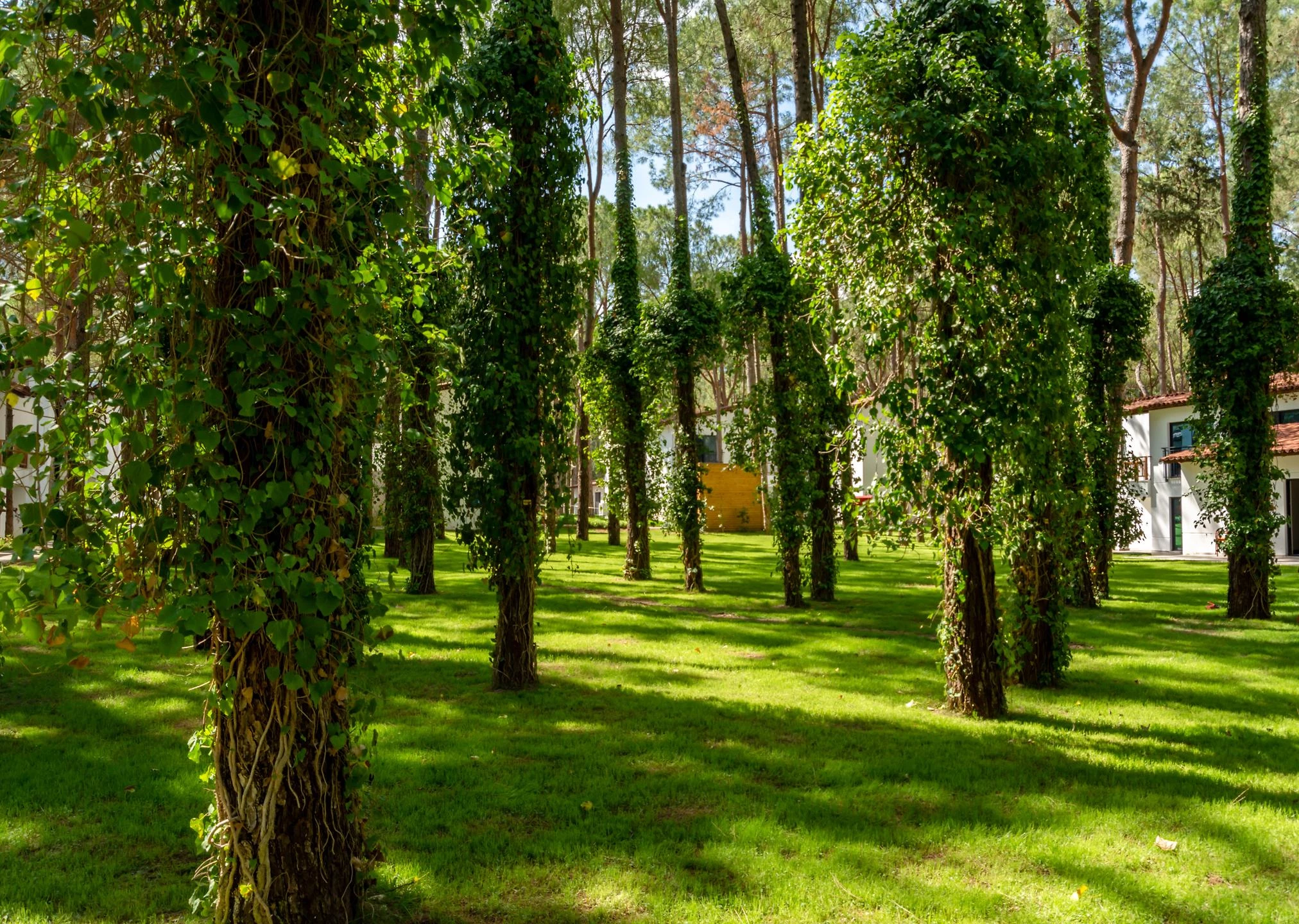 #altIMG Hotel# Baia Salima Kemer #altIMG in# Antalya, Türkiye - #altIMG Image# 15