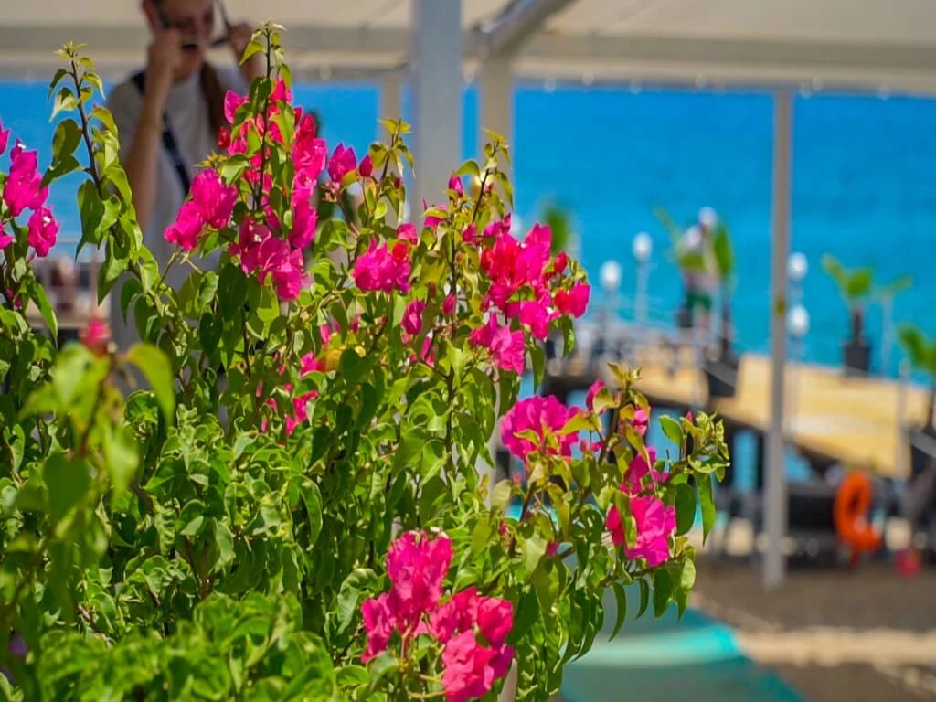 #altIMG Hotel# Catamaran Resort Hotel #altIMG in# Antalya, Türkiye - #altIMG Image# 9