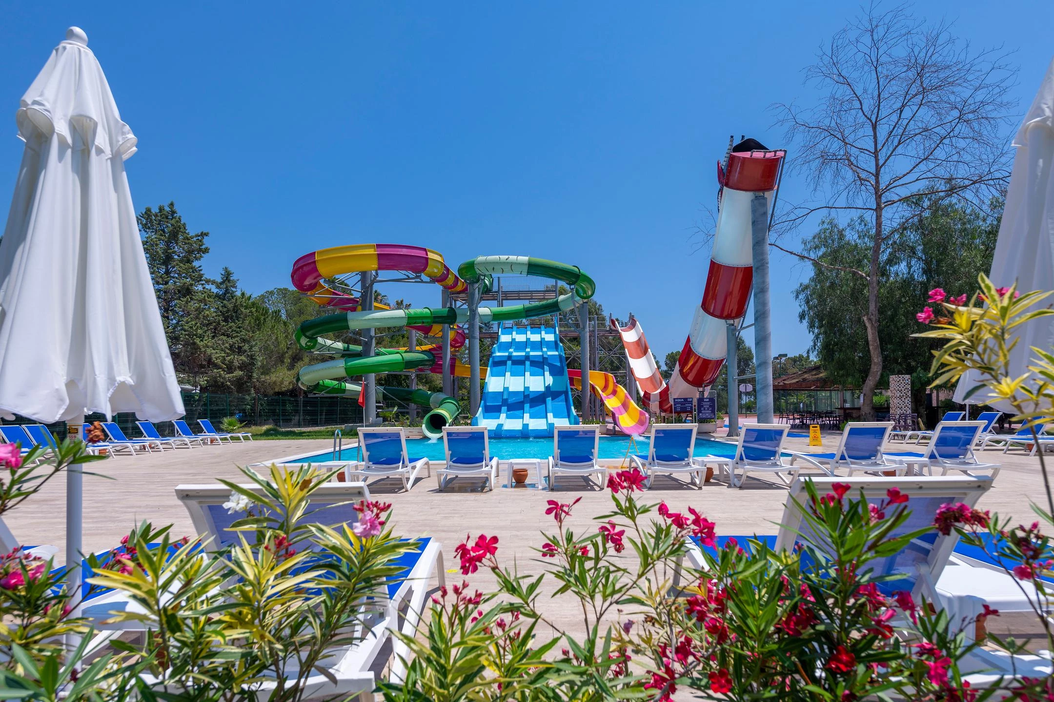 #altIMG Havuz in Hotel# Fun & Sun Family Comfort Beach #altIMG in# Antalya, Türkiye - #altIMG Image# 4
