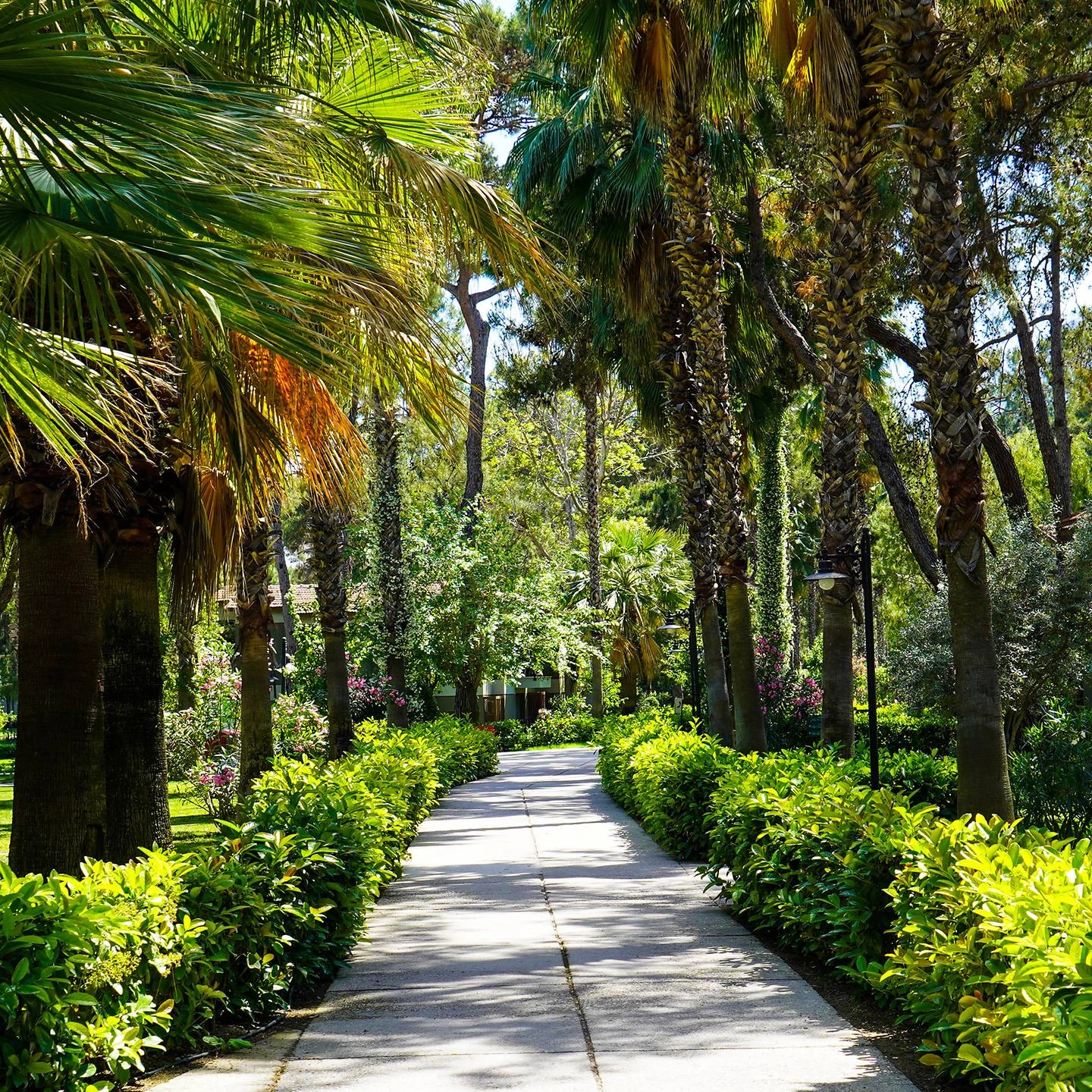 #altIMG Hotel# Kimeros Park Holiday Village #altIMG in# Antalya, Türkiye - #altIMG Image# 11