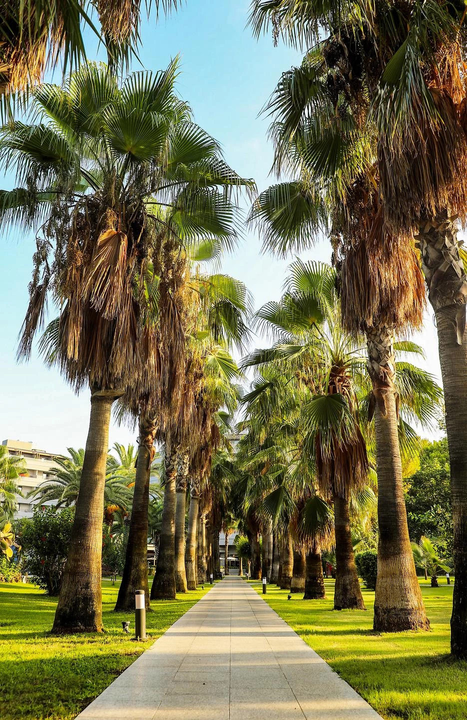 #altIMG Hotel# Miramare Beach Hotel #altIMG in# Antalya, Türkiye - #altIMG Image# 5