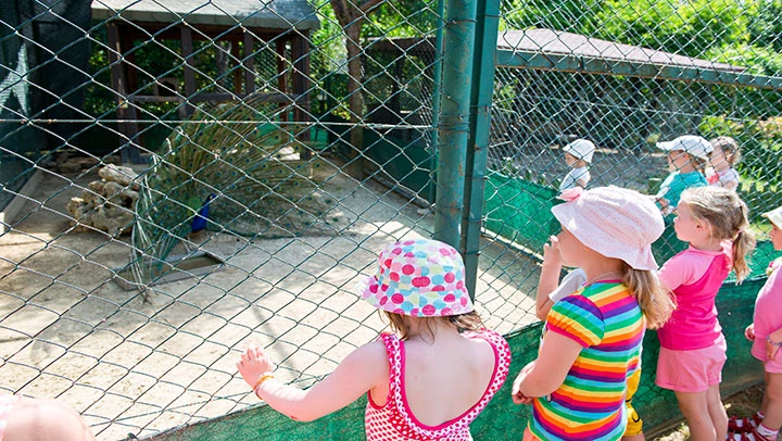 #altIMG Çocuk in Hotel# Otium Family Eco Club #altIMG in# Antalya, Türkiye - #altIMG Image# 17