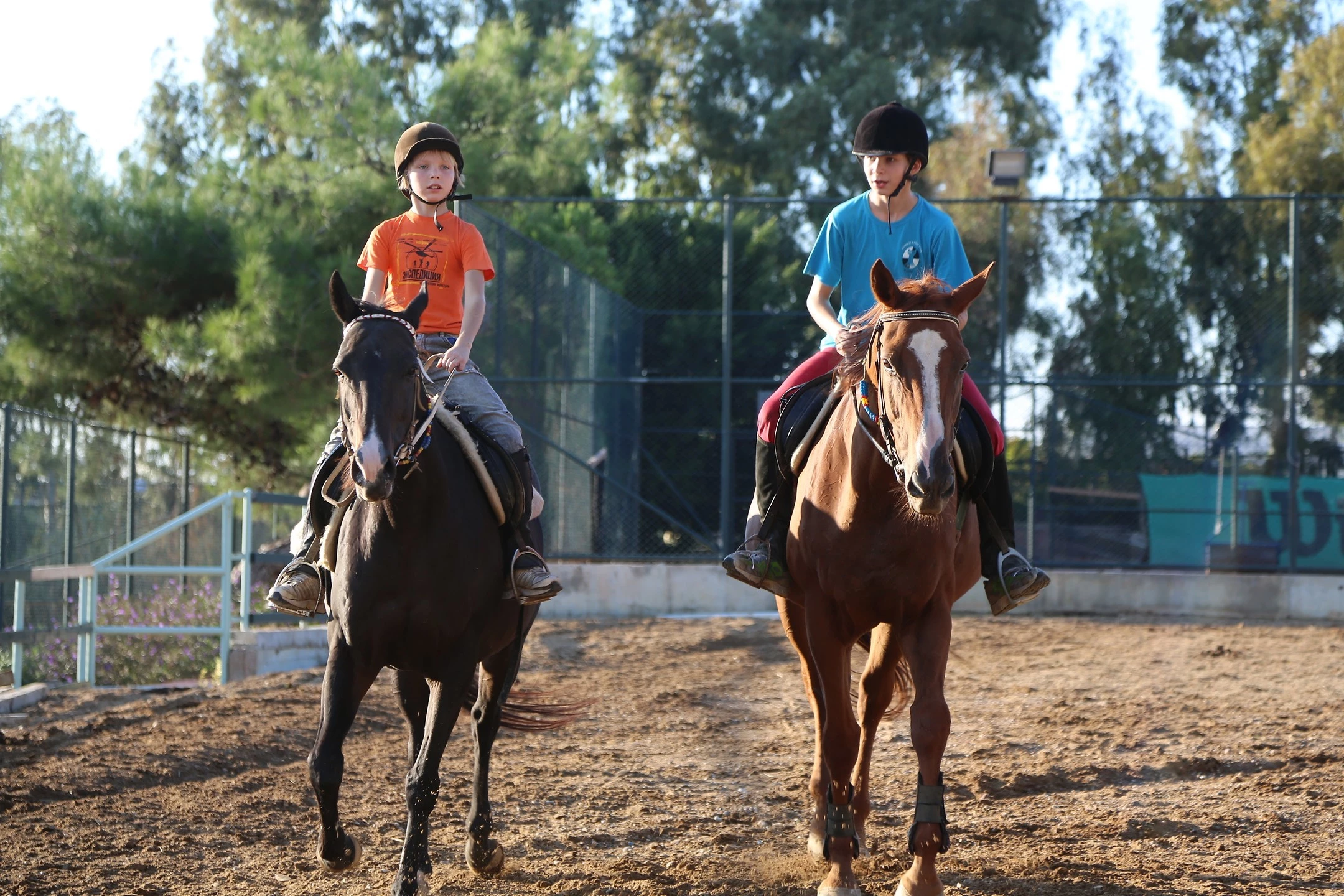 #altIMG Aktivite in Hotel# Starlight Resort Hotel #altIMG in# Antalya, Türkiye - #altIMG Image# 9